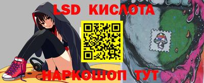 прущие грибы Рыбинск
