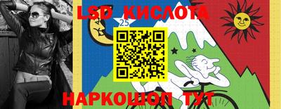 прущие грибы Рыбинск