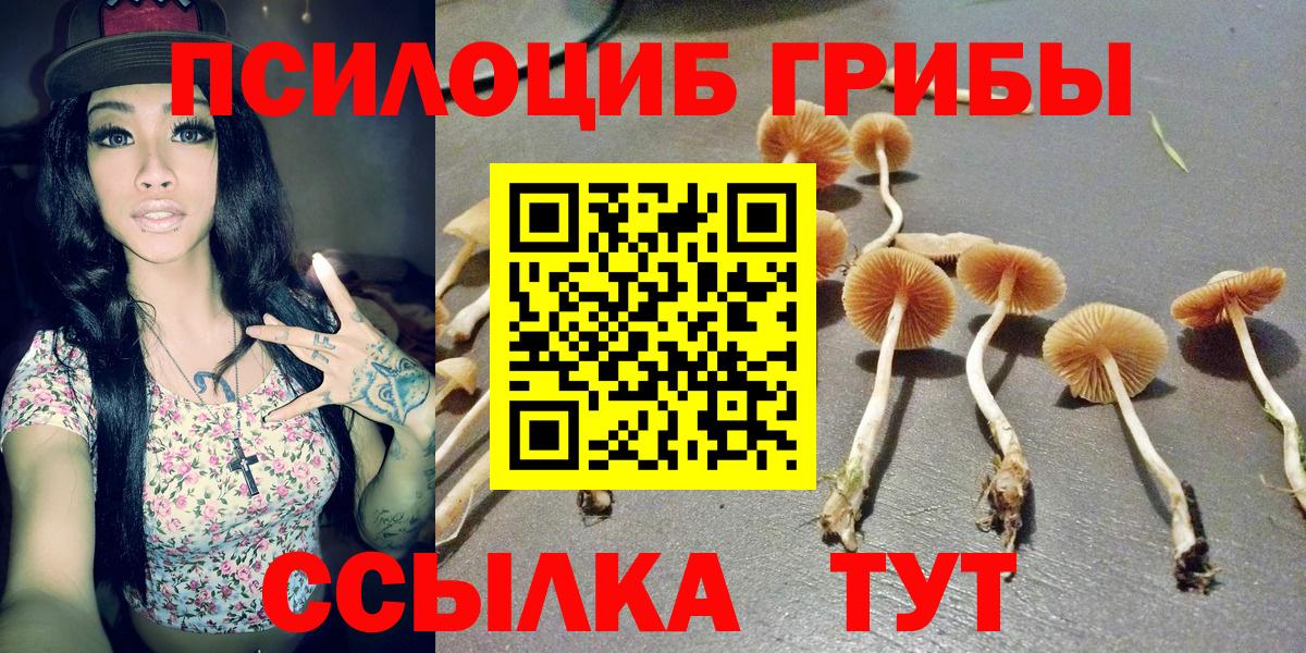 Псилоцибиновые грибы мицелий  Псилоцибиновые грибы Cubensis  Вход с VPN  Старая Купавна 