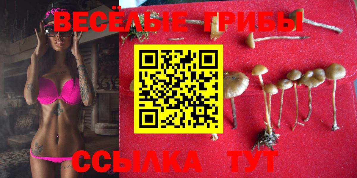 Галлюциногенные грибы мицелий Старая Купавна